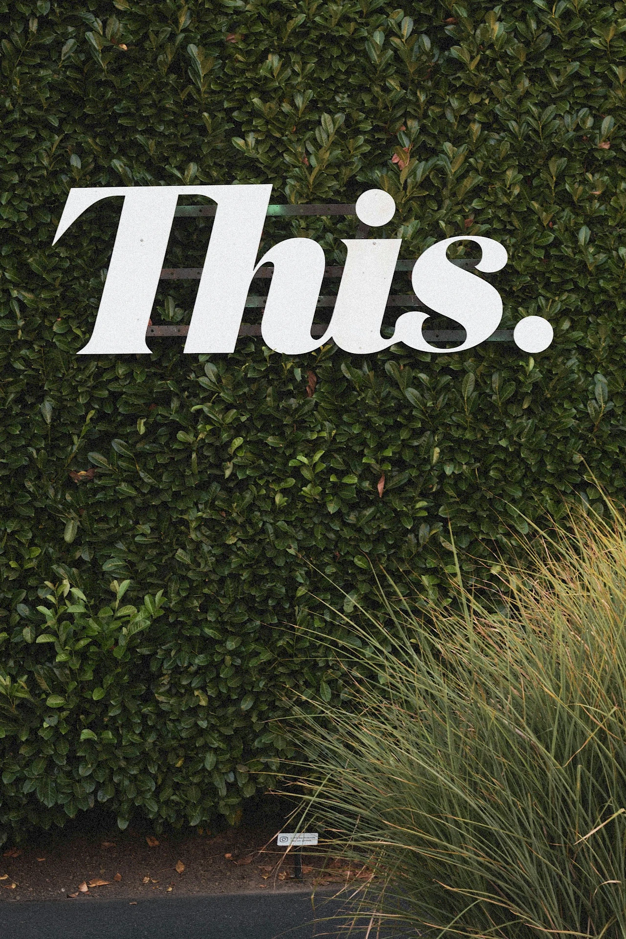 SEO Optimierung (Technik & Content)